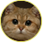 badnewplayer