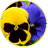 evtoch